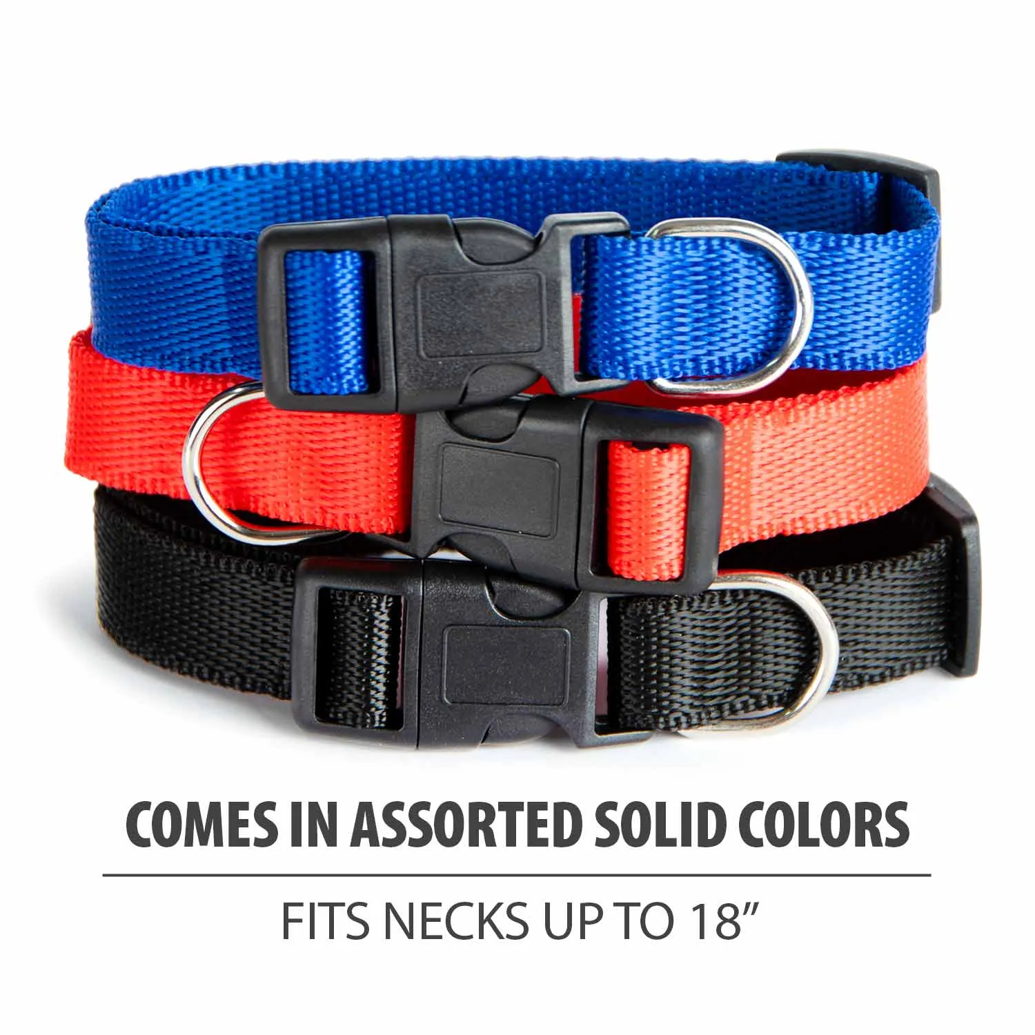 Adjustable Nylon Dog Collar, Assorted Colors, 15"-18"