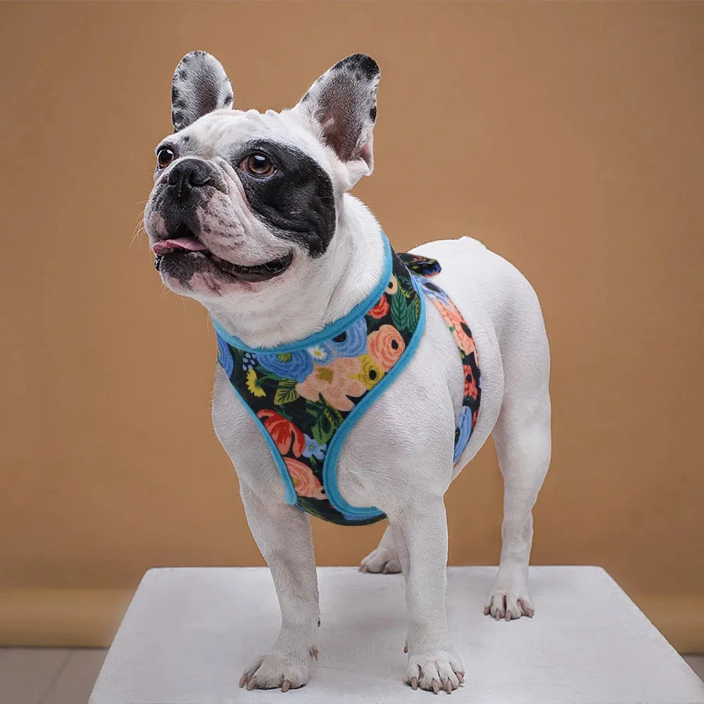 Adjustable Pet Harness for Small to Medium Dogs and Cats - Variety of Colors