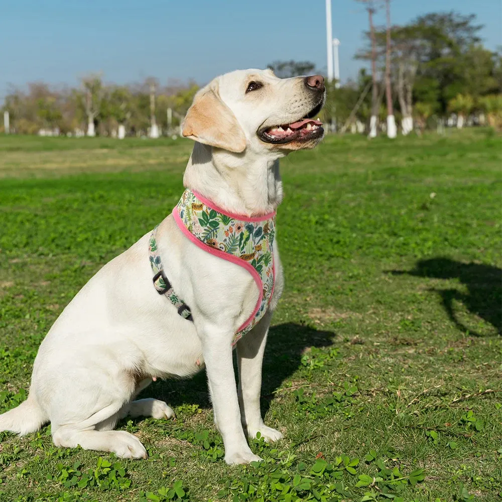 Adjustable Pet Harness for Small to Medium Dogs and Cats - Variety of Colors