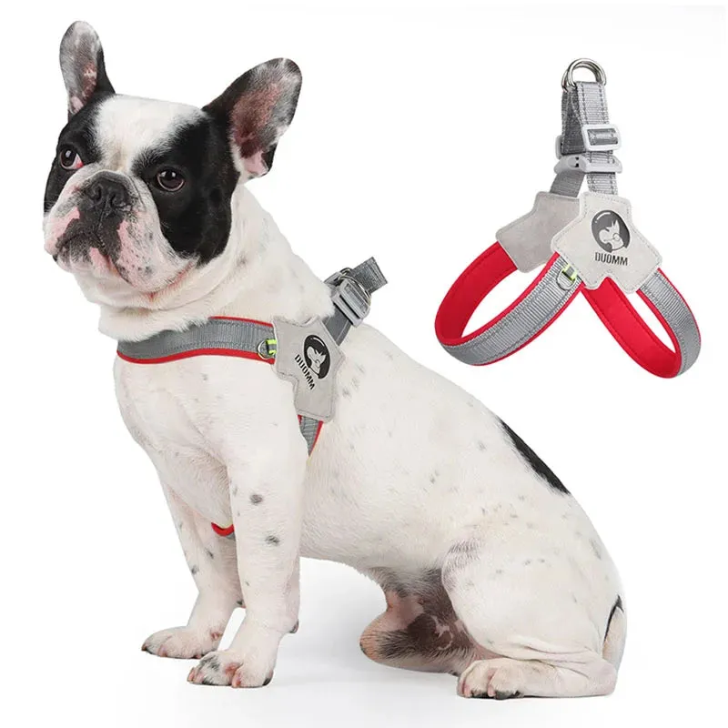 Adjustable Reflective Dog Harness for Small to Medium Dogs - Ideal for Outdoor Walking