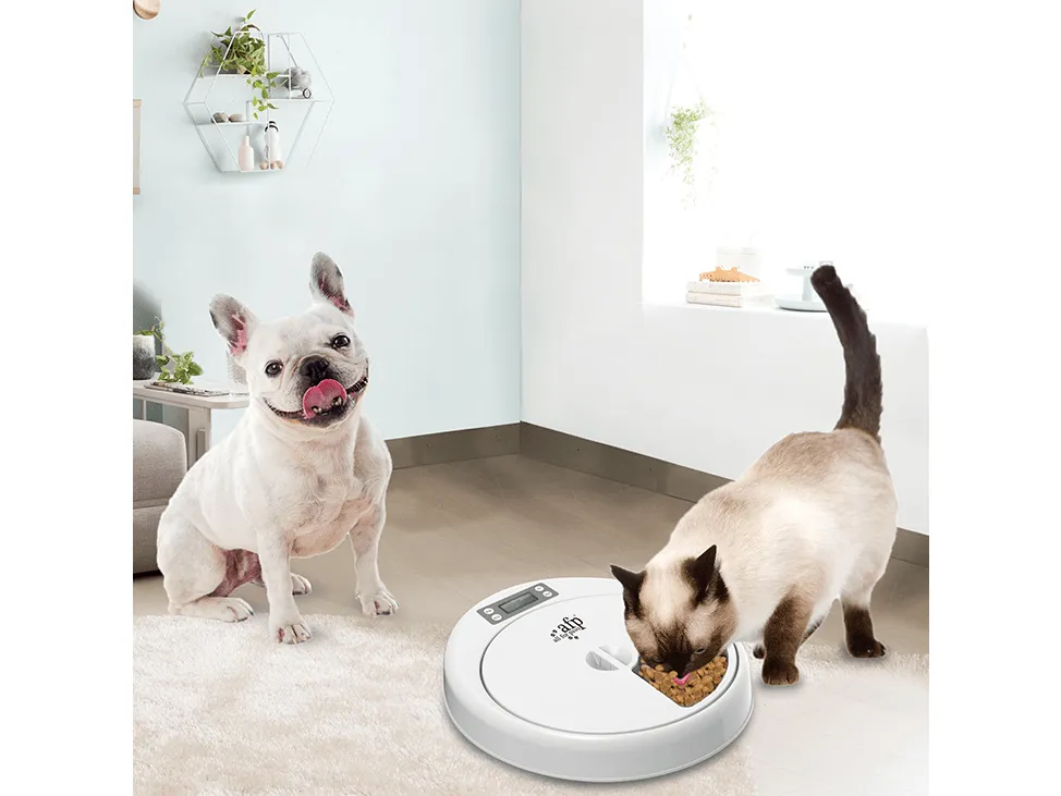 AFP Lifestyle 4 Pet-5 Meal Pet Feeder