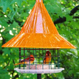 Arundale Sky Cafe Oriole Feeder