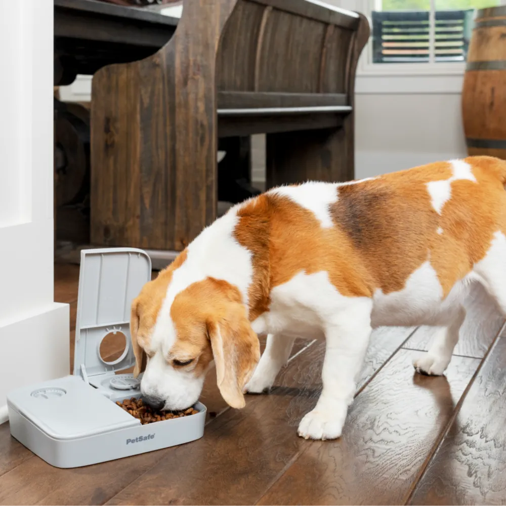 Automatic 2 Meal Pet Feeder