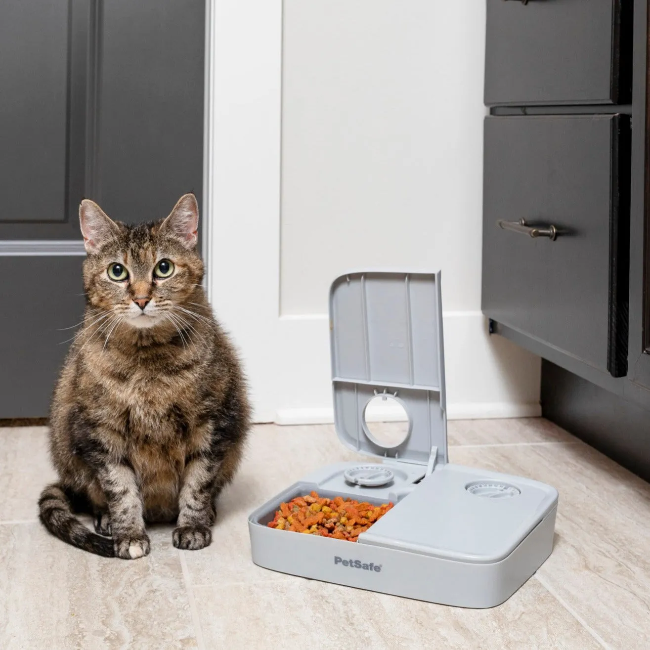 Automatic 2 Meal Pet Feeder