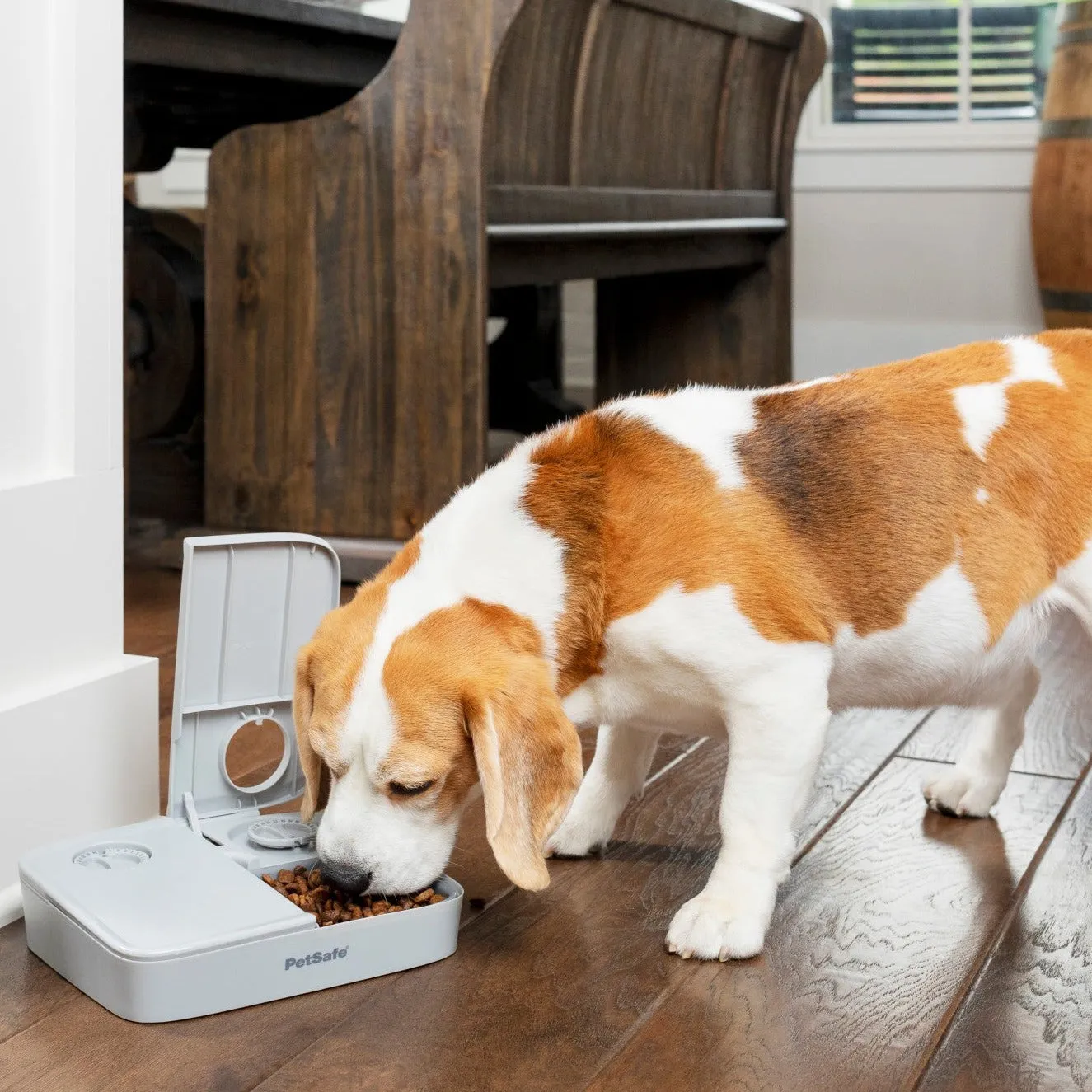 Automatic 2 Meal Pet Feeder