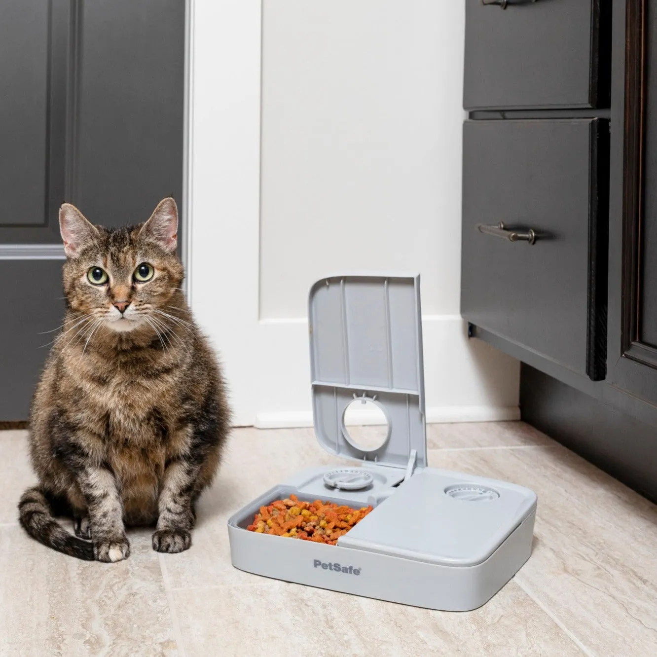 Automatic 2 Meal Pet Feeder