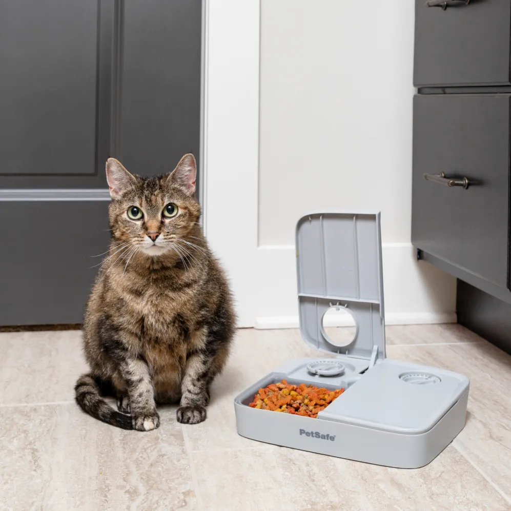 Automatic 2 Meal Pet Feeder