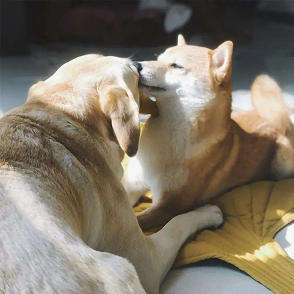 Breathable Leaf-Shaped Pet Mat - Washable and Eco-Friendly for Dogs and Cats