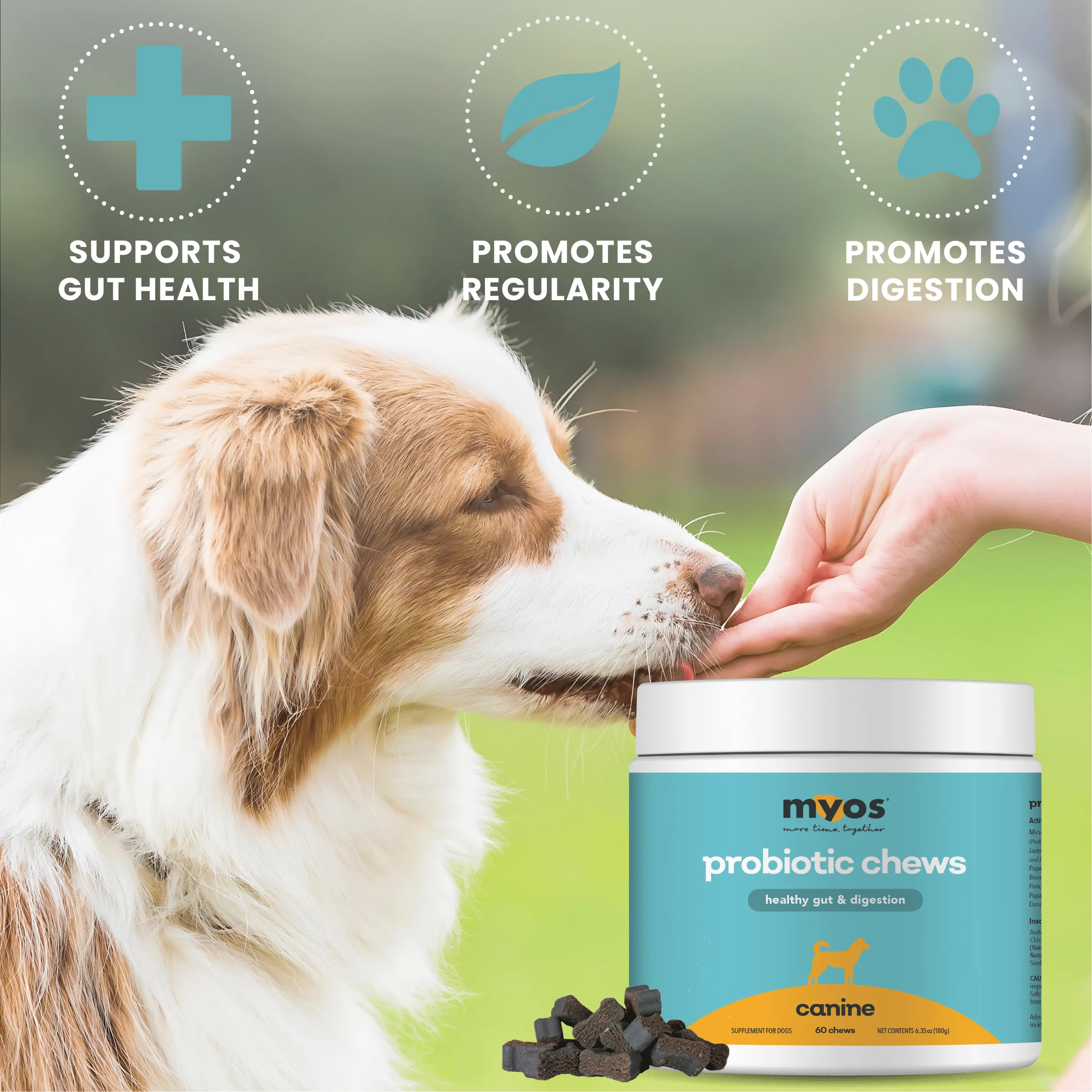 Canine Probiotic Chews