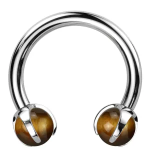 Claw Tigers Eye Titanium Internally Threaded Circular Barbell