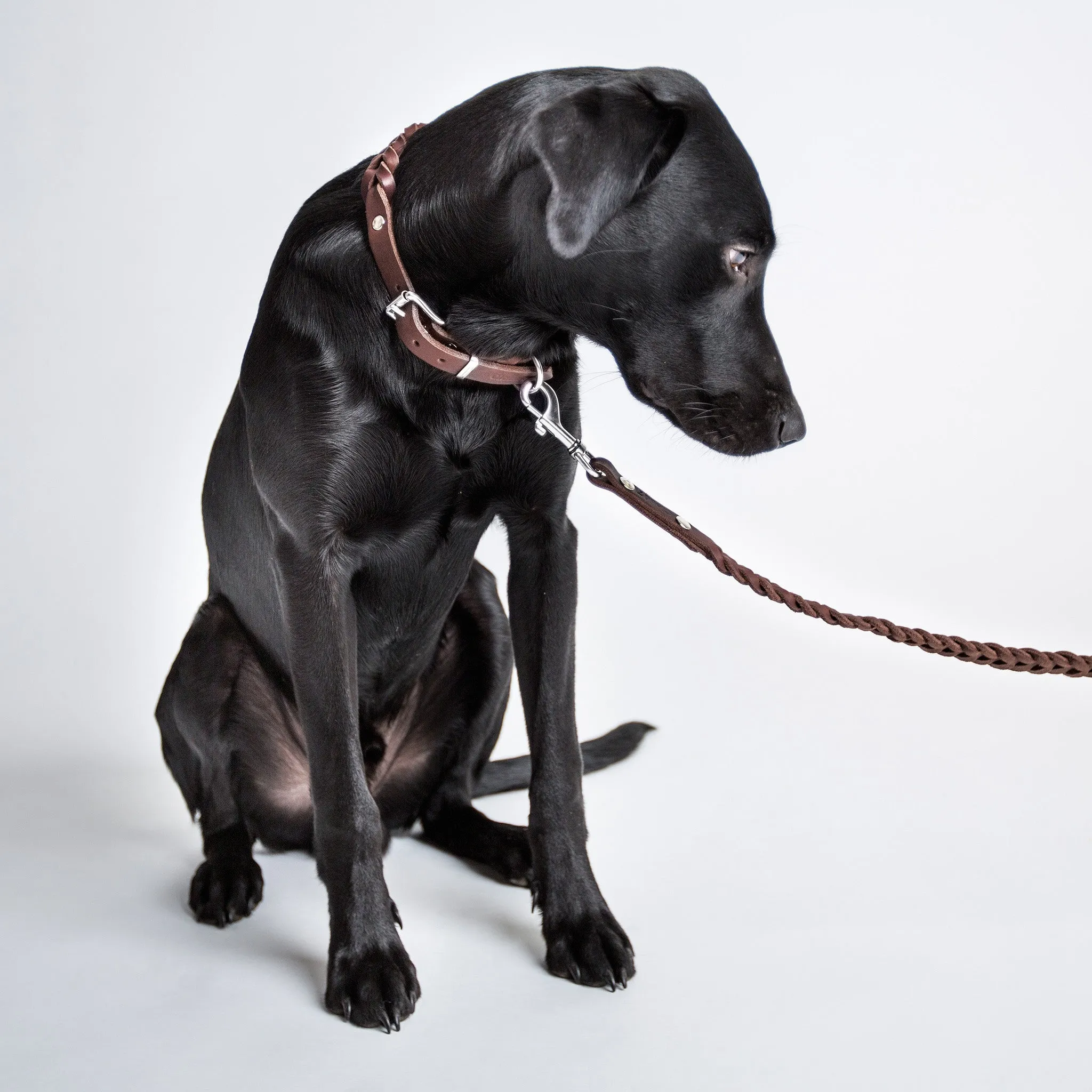 Cloud7: Central Park Saddle Brown Leather Dog Leash