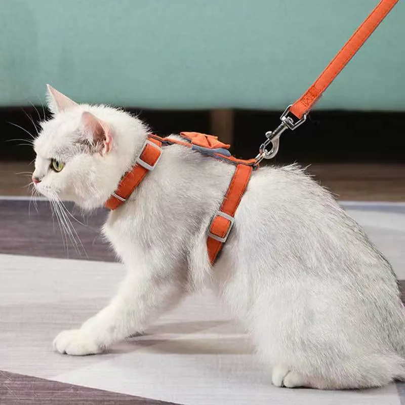 Color-Blocked Cotton-Filled Cat Bow Leash