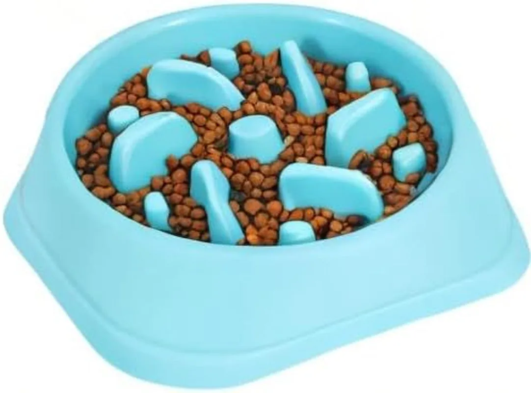 Dog Feeder Slow Eating Pet Bowl - Meet Bloat Buster! 🐾🍽️