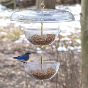 Duncraft Tilt-Top Bluebird Paradise Feeder