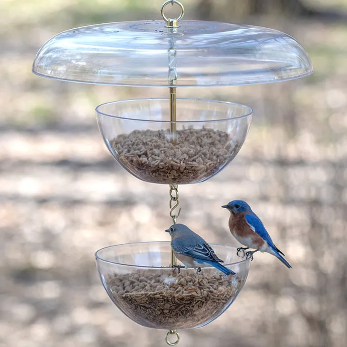 Duncraft Tilt-Top Bluebird Paradise Feeder