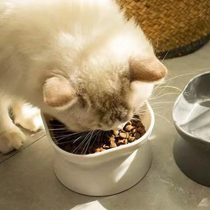 Elevated Dual-Use Pet Feeder for Cats and Dogs