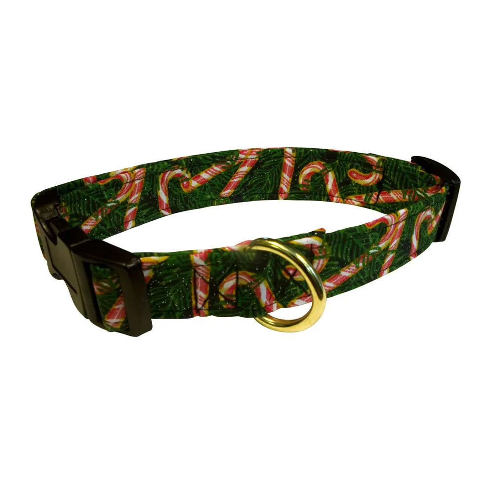 Elmo's Closet Candy Canes & Pines Dog Collar