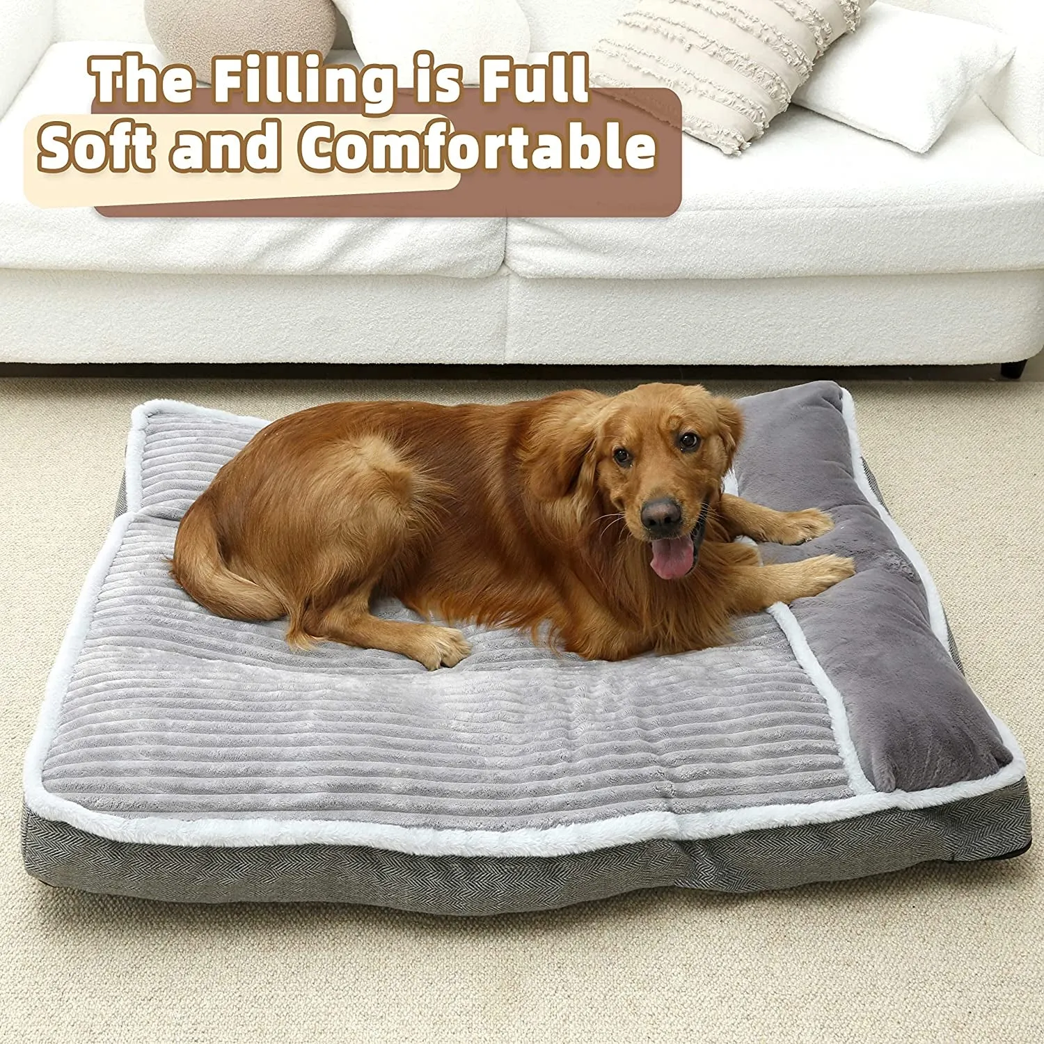 Foam Dog Bed