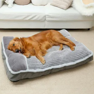 Foam Dog Bed