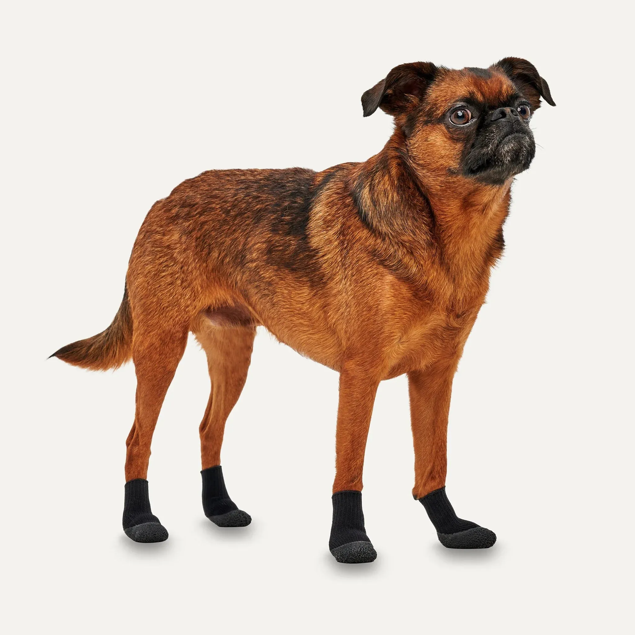 Goo-eez - Lites Dog Boots (4 pack)