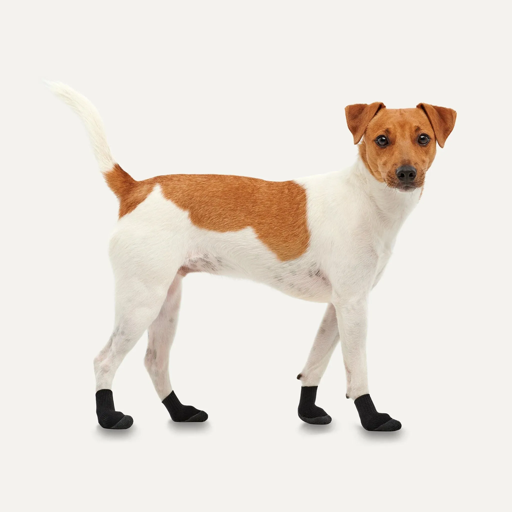 Goo-eez - Lites Dog Boots (4 pack)