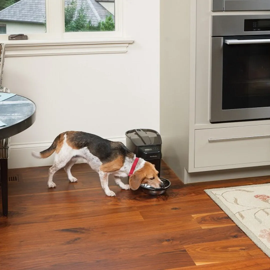 Healthy Pet Simply Feed™ Programmable Digital Pet Feeder