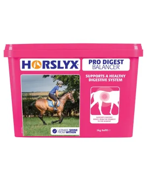 Horslyx Pro Digest Balancer Lick