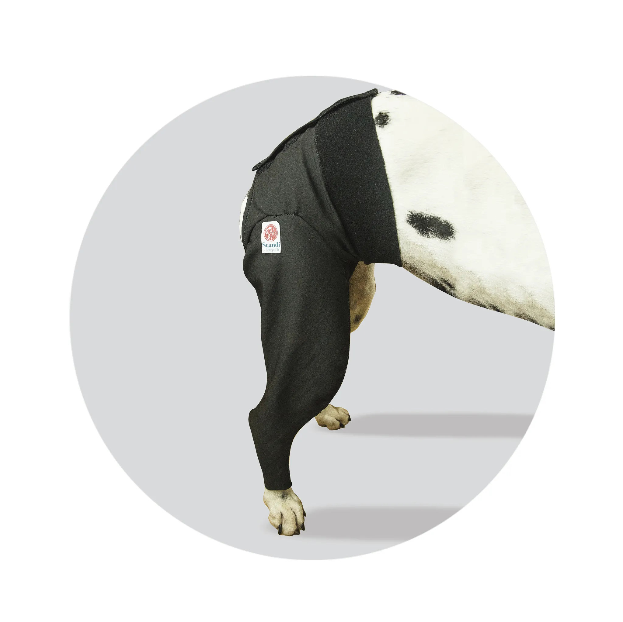 Medical Protection Cover - Hind Limb