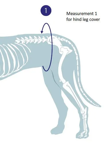 Medical Protection Cover - Hind Limb