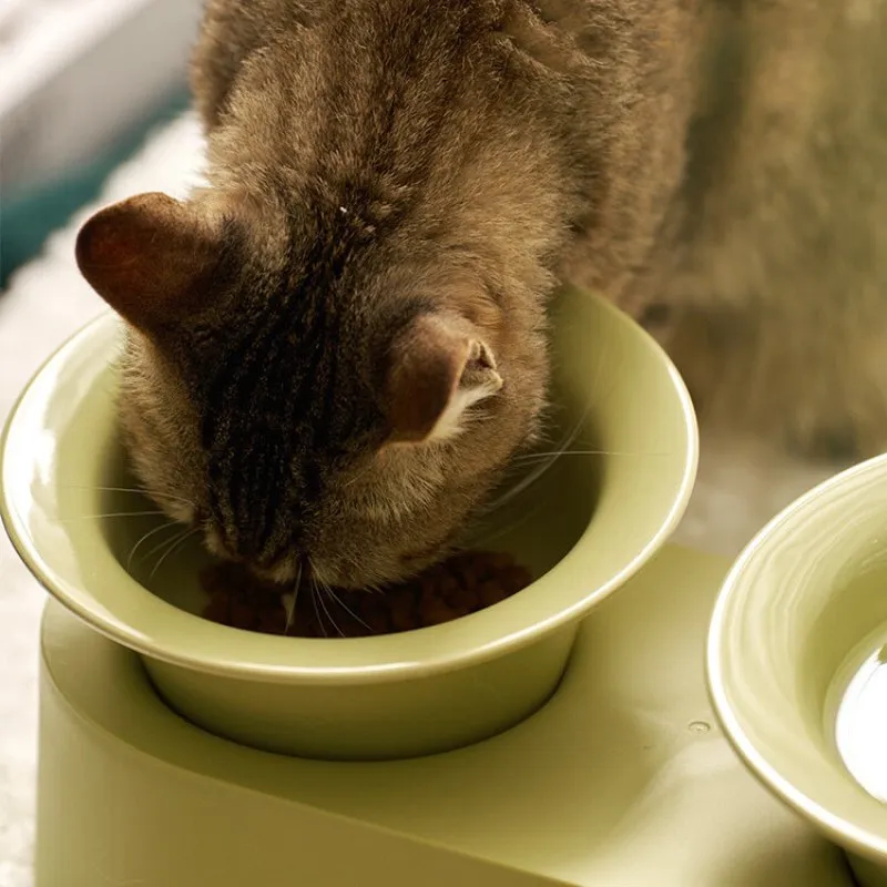 MS Designer Series Dual Ceramic Pet Bowls with Detachable Stand