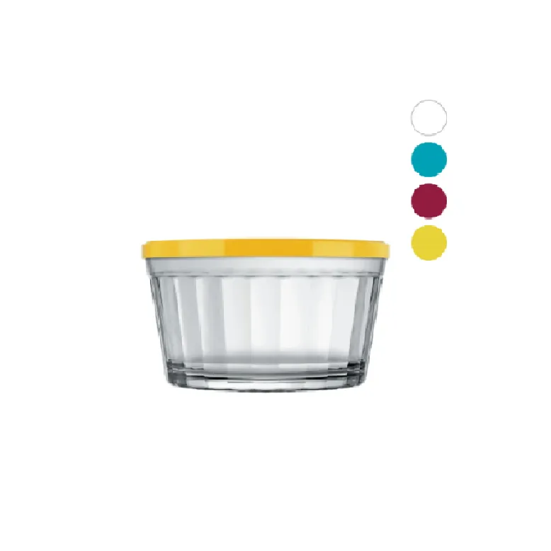 Nadir Americano Extra Large Bowl 1L with Colour Plastic Lid 26052