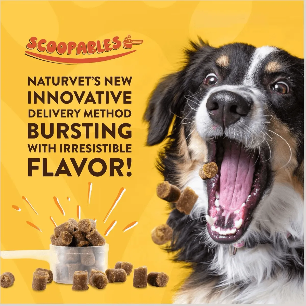 NaturVet Scoopables All-In-One 4-in-1 Support Dog Supplement