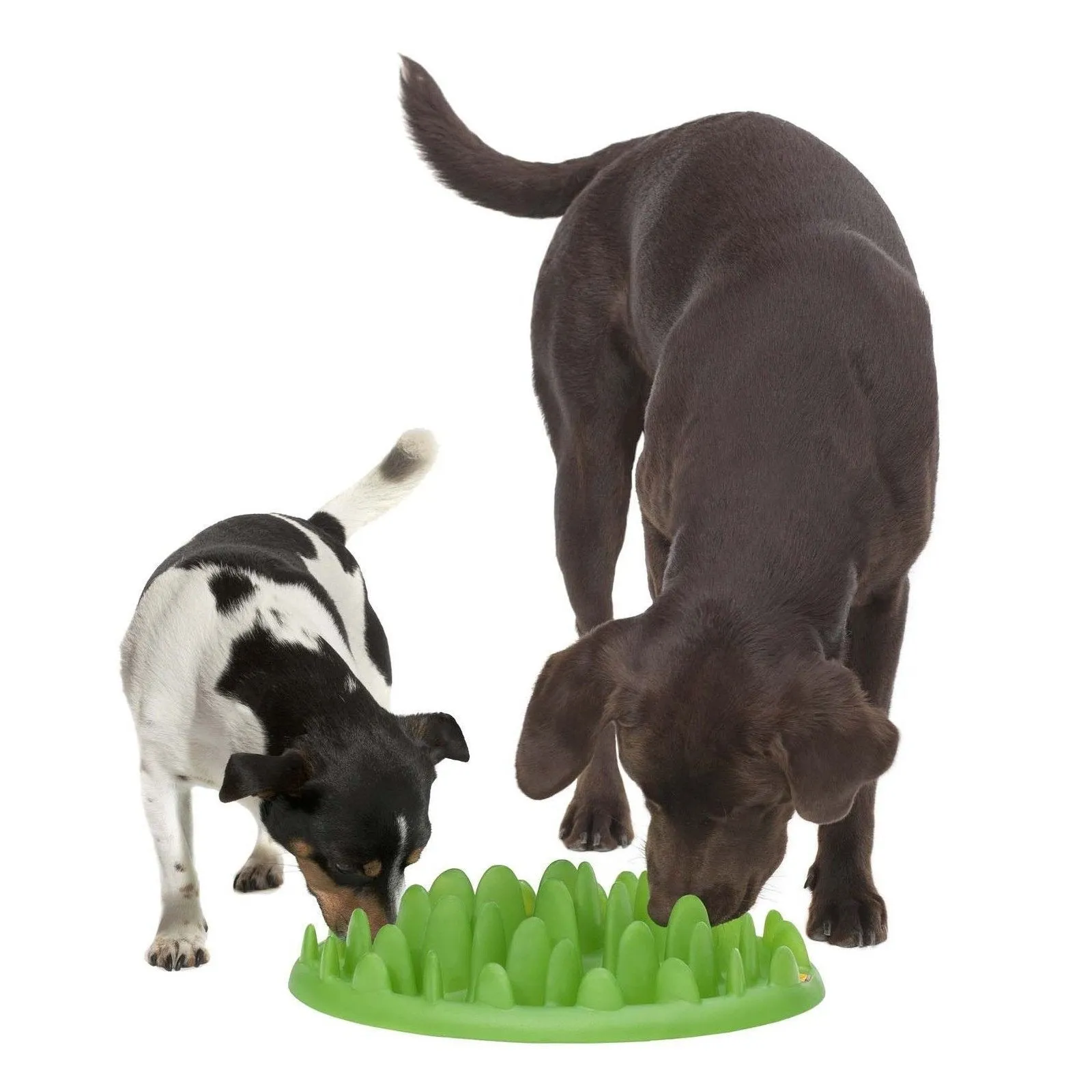 Northmate Green Interactive Slow Feeder Dog Bowl^^^