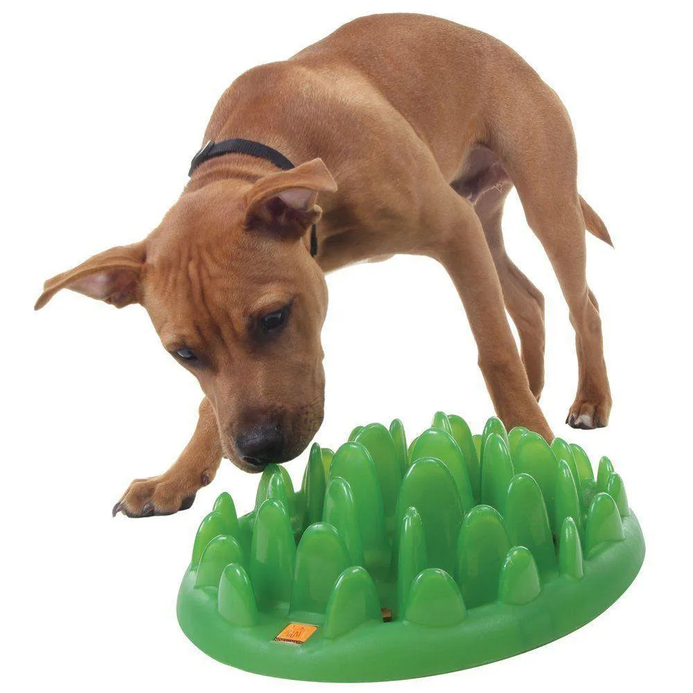 Northmate Green Interactive Slow Feeder Dog Bowl^^^