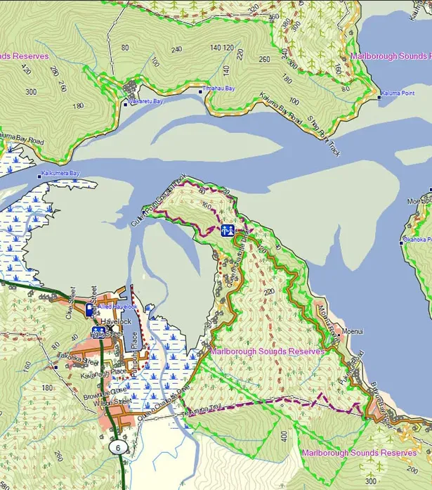 NZ Topo Maps for Garmin GPS