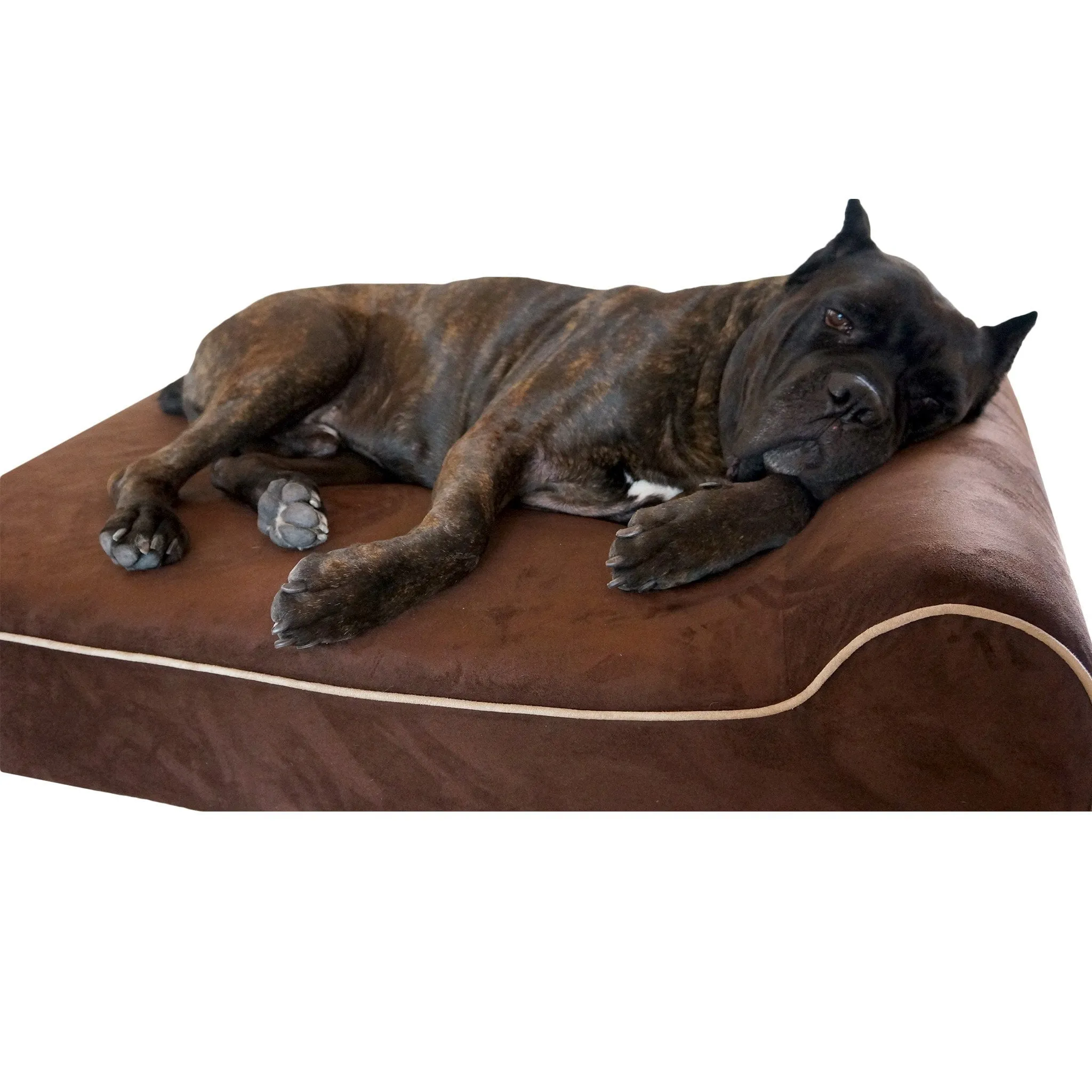 Orthopedic Original Bully Bed