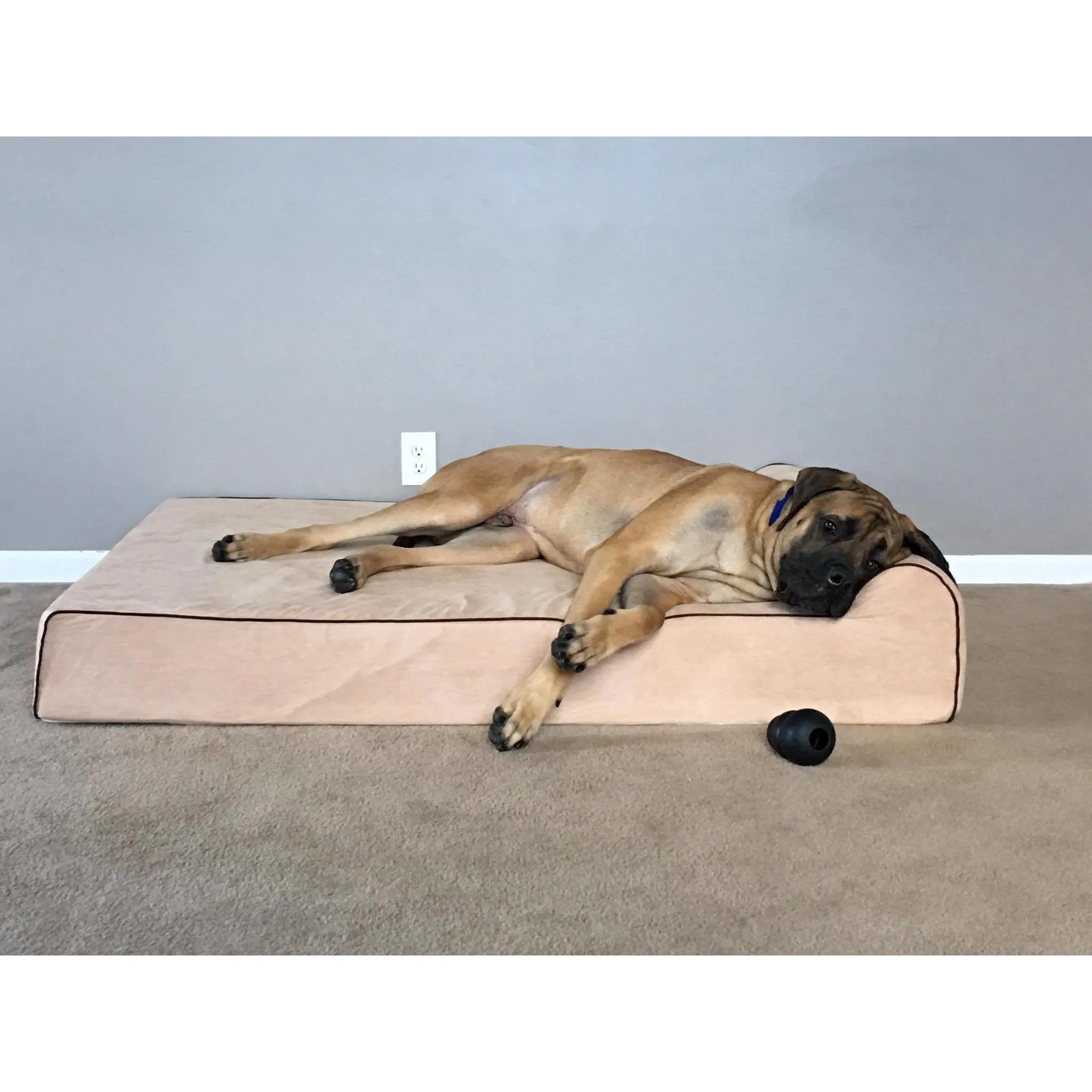 Orthopedic Original Bully Bed