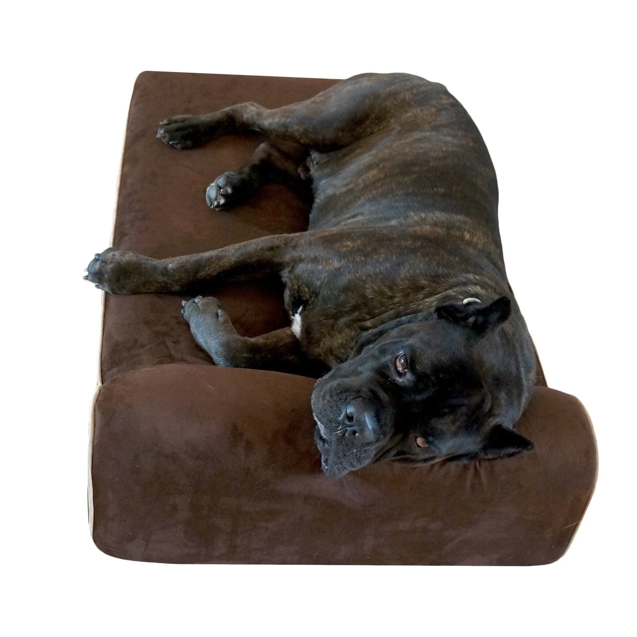 Orthopedic Original Bully Bed