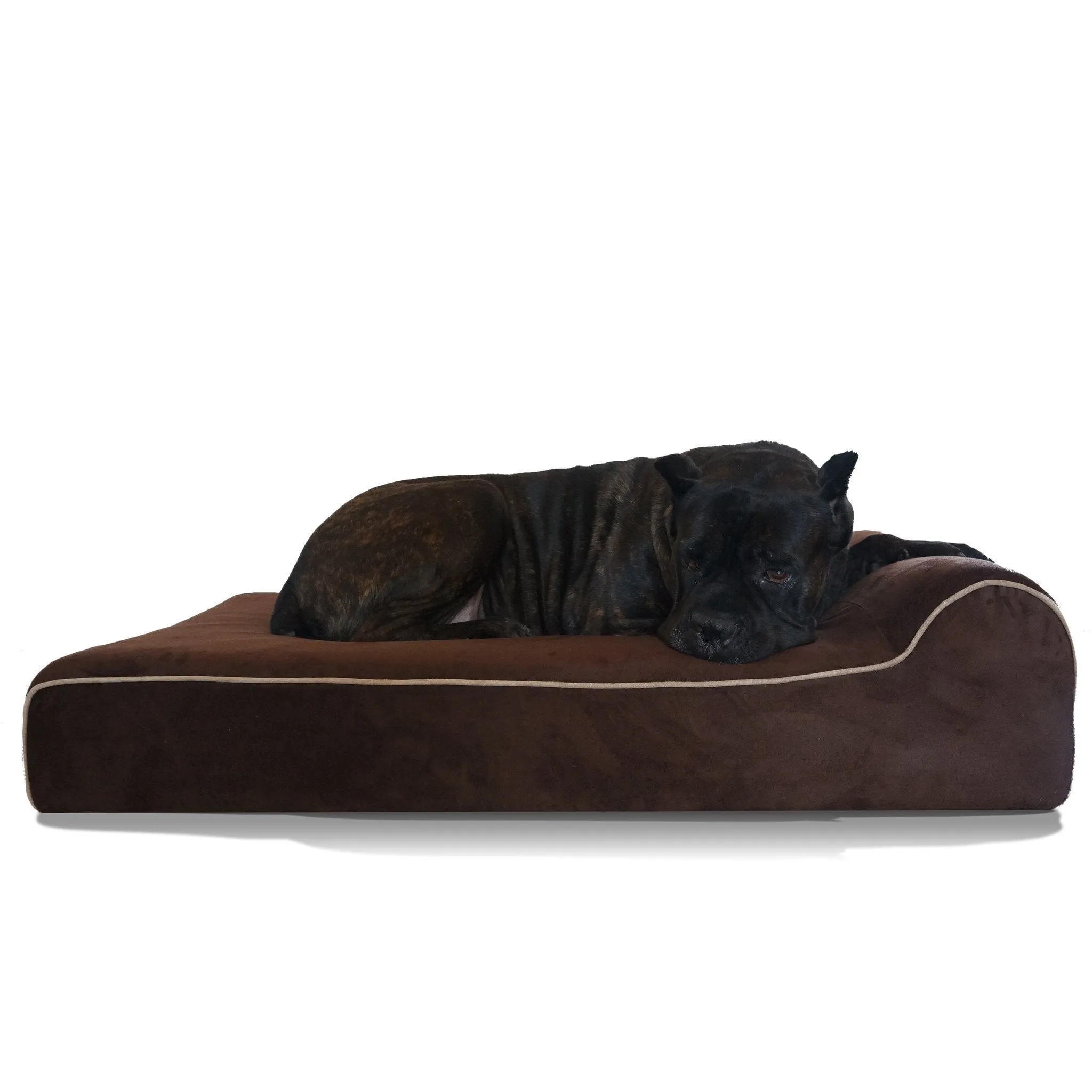 Orthopedic Original Bully Bed