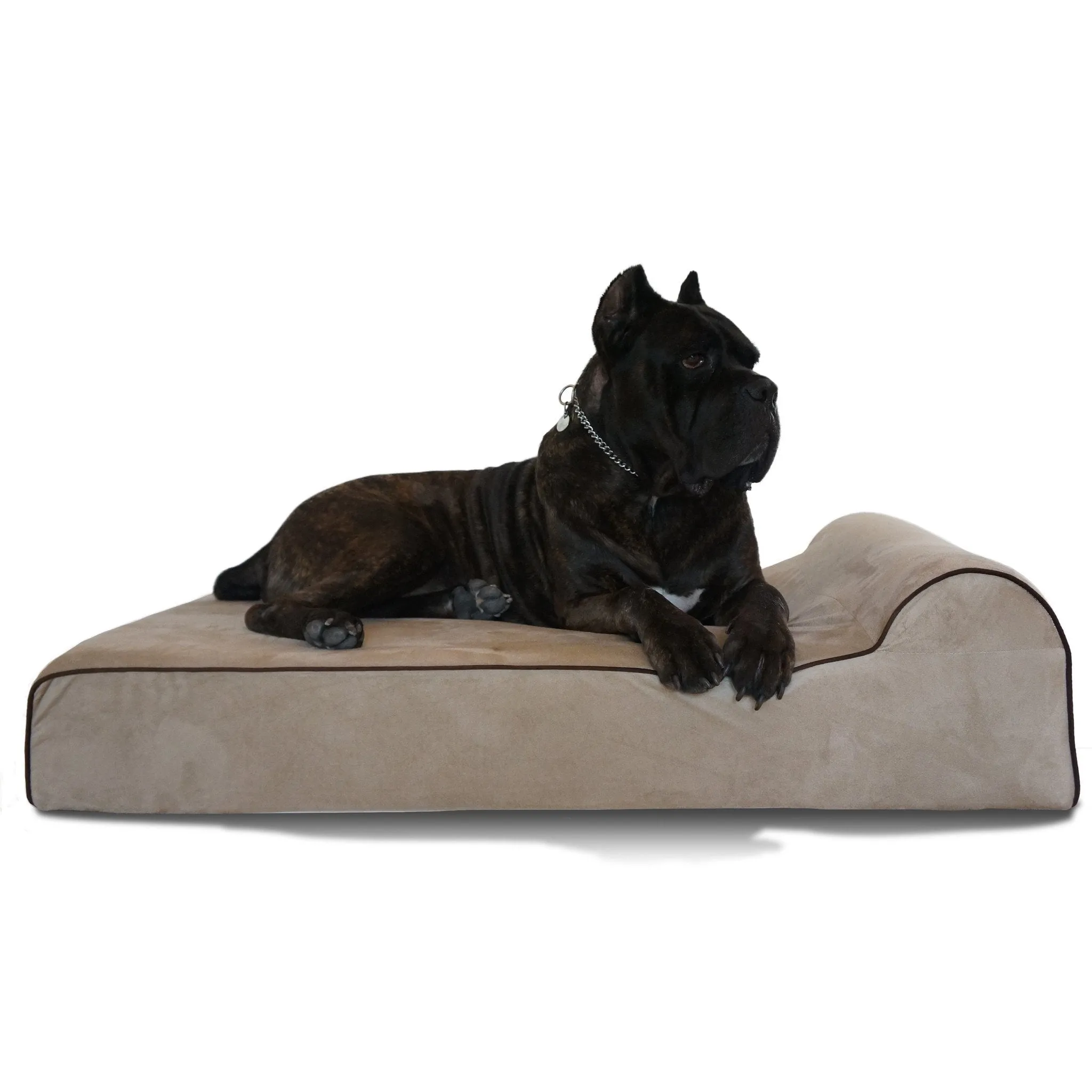 Orthopedic Original Bully Bed