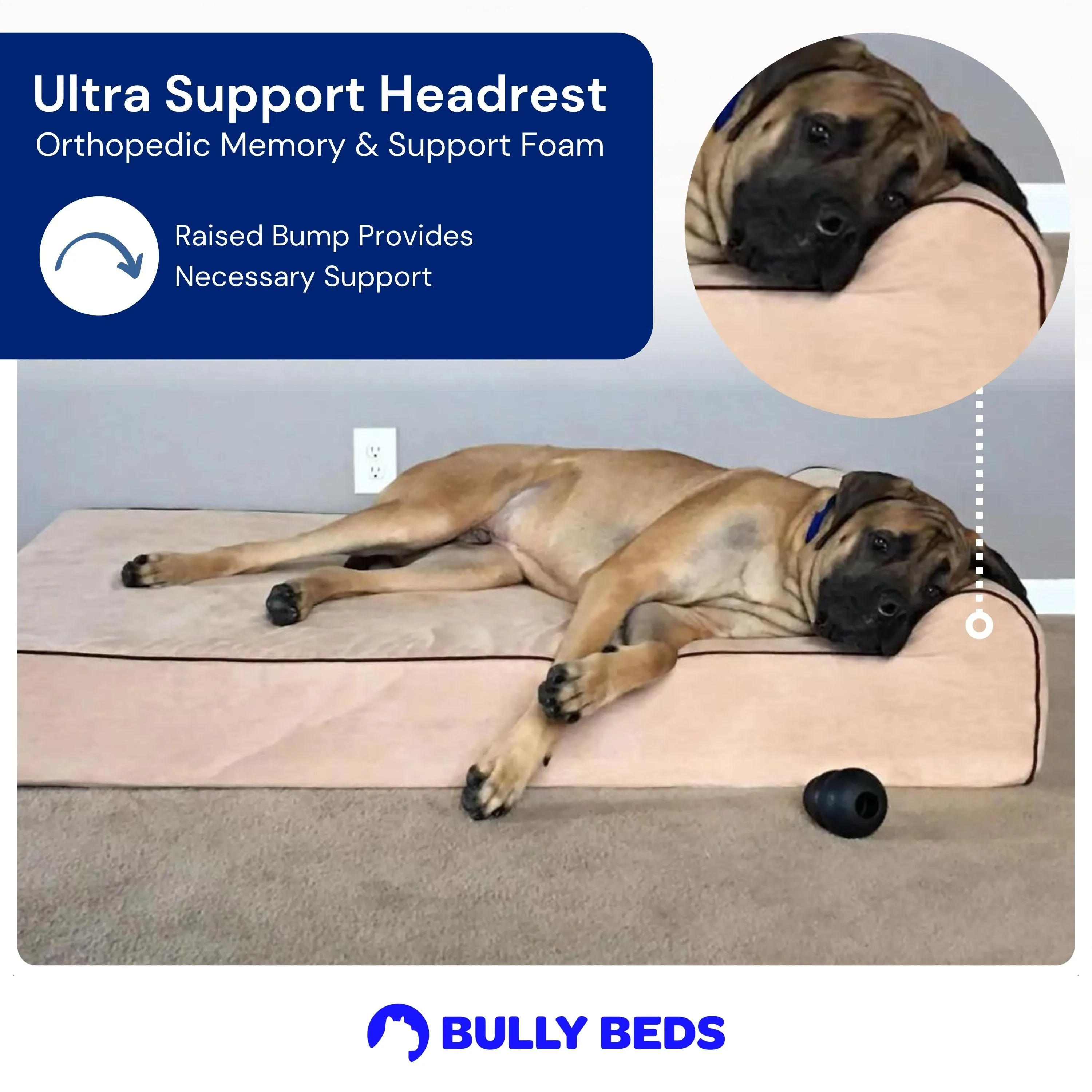 Orthopedic Original Bully Bed