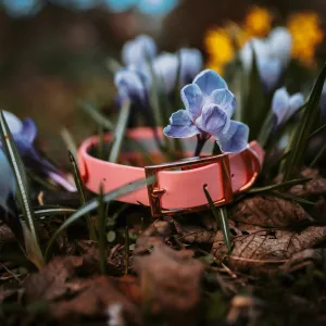 Pastel Pink Collars