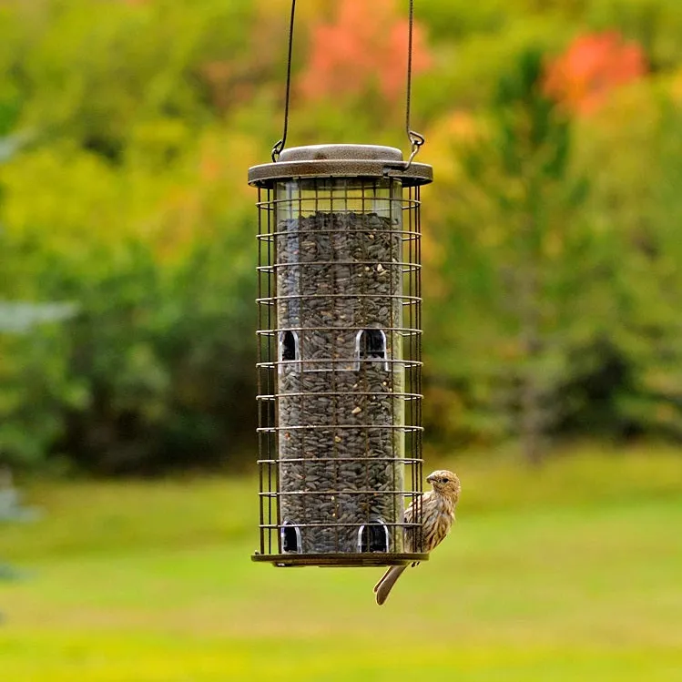 Perky Pet Squirrel Stumper Caged Bird Feeder 114