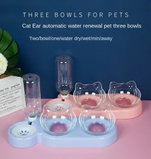 Pet Elevated Bowls