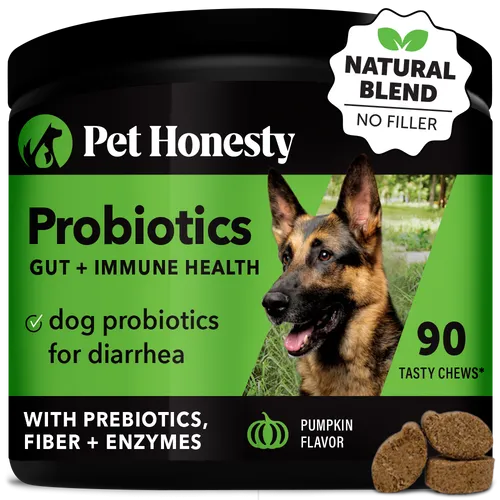 Pet Honesty Probiotics Gut   Immune Health Pumpkin Flavor for Dogs