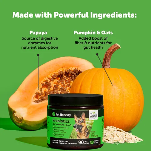 Pet Honesty Probiotics Gut   Immune Health Pumpkin Flavor for Dogs