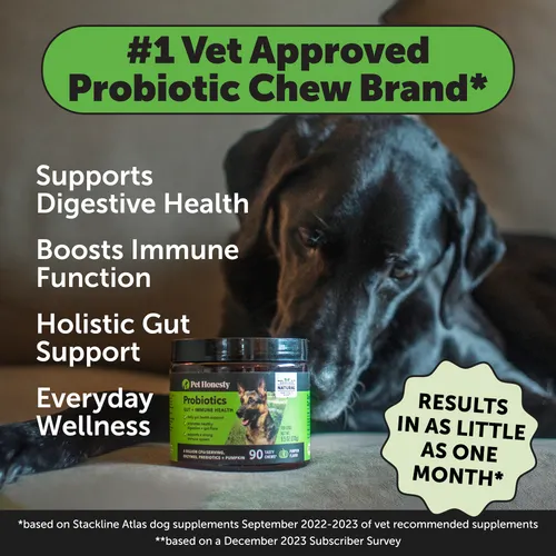 Pet Honesty Probiotics Gut   Immune Health Pumpkin Flavor for Dogs