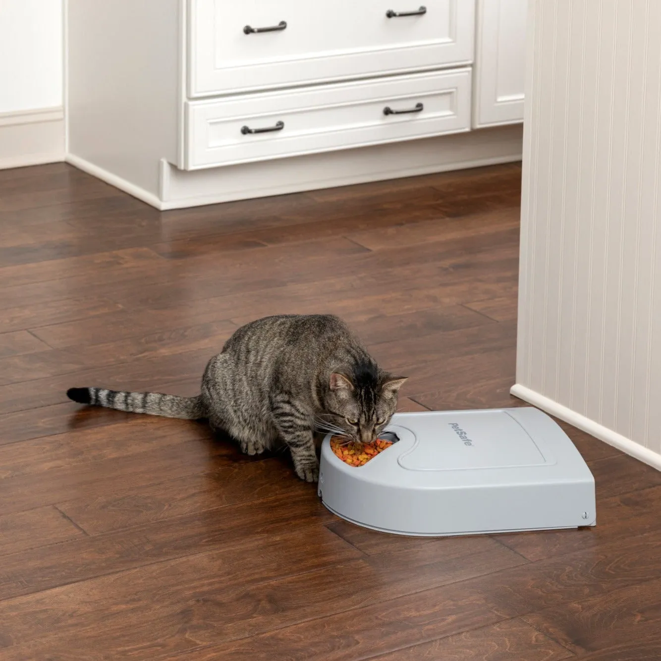 PetSafe® 5-Meal Pet Feeder