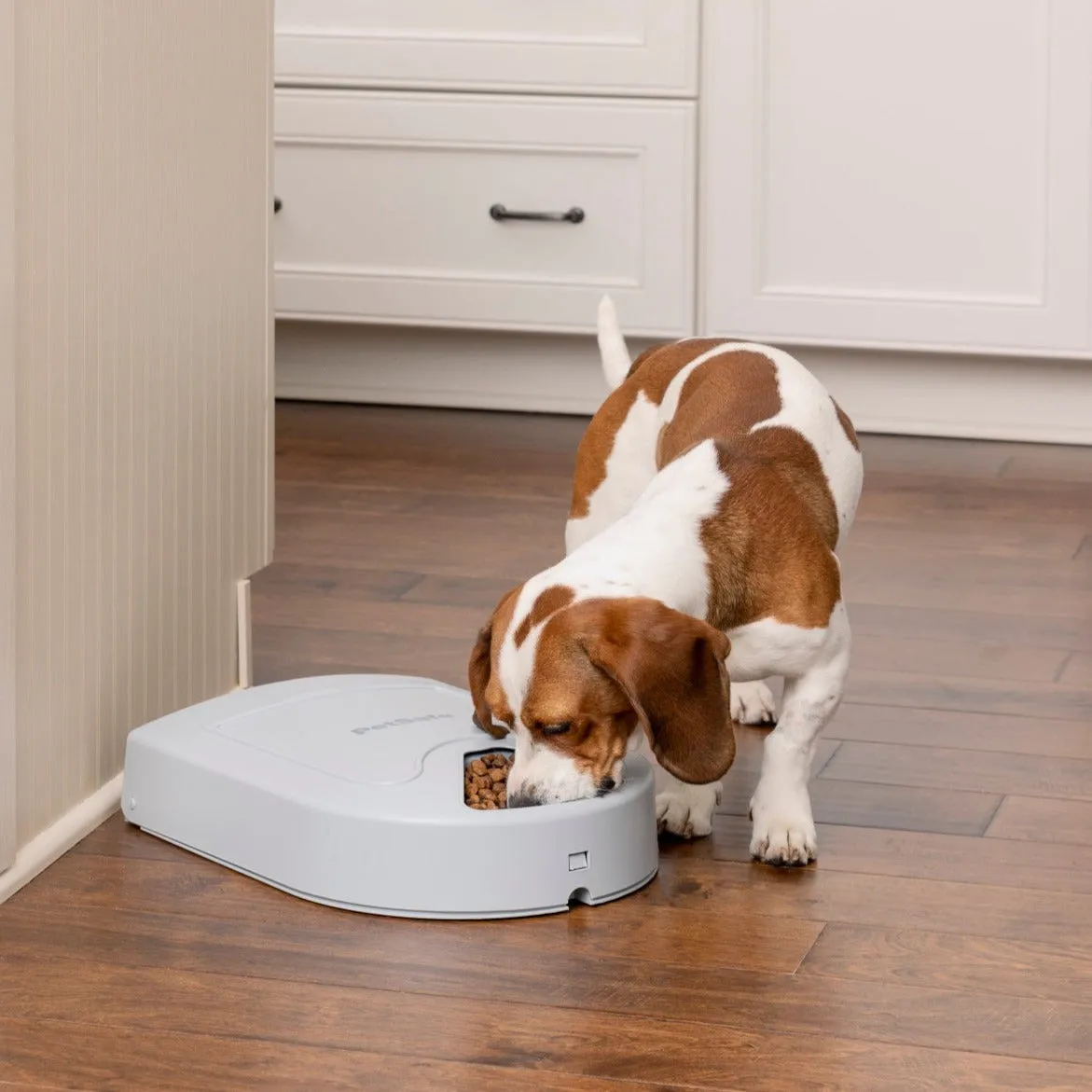 PetSafe® 5-Meal Pet Feeder