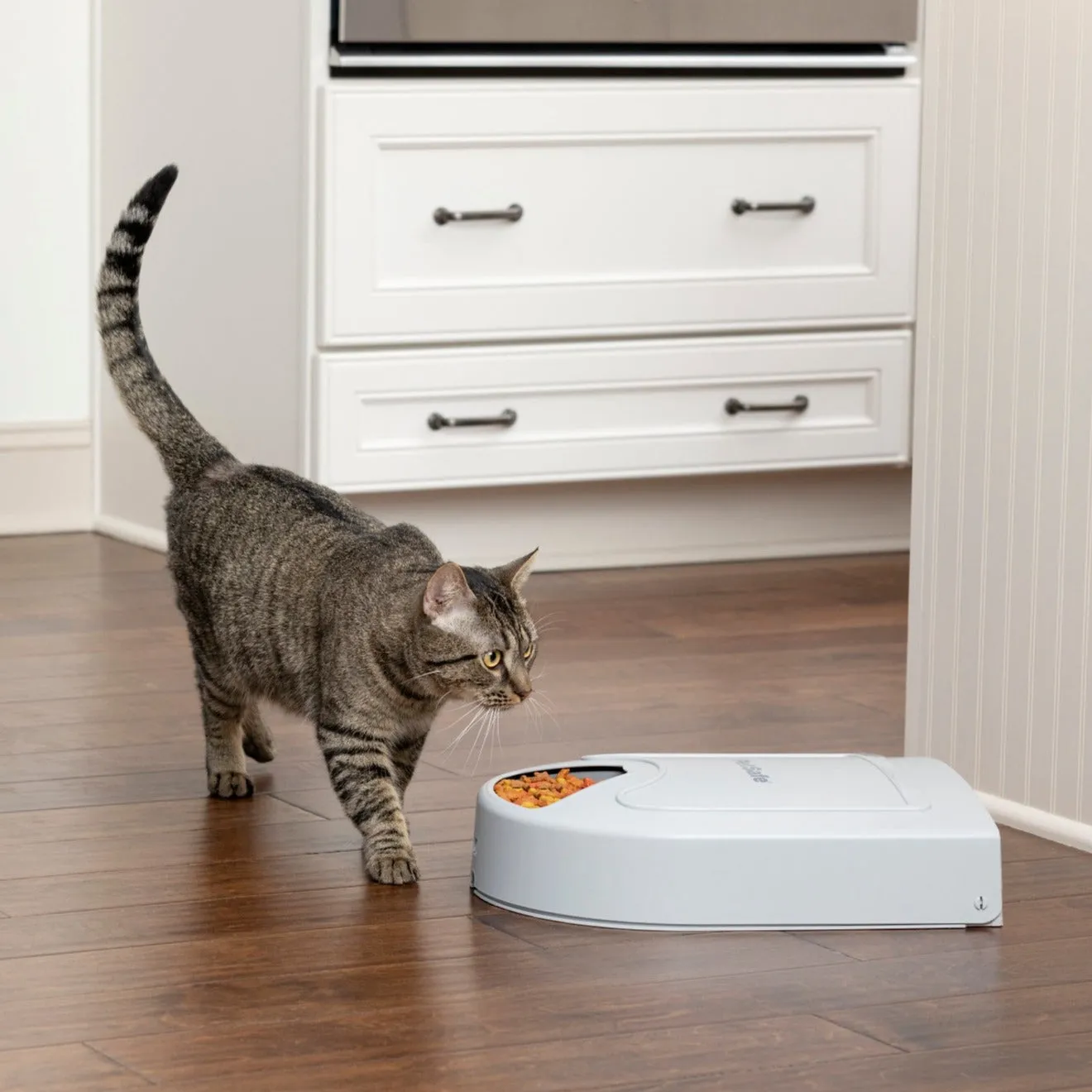 PetSafe® 5-Meal Pet Feeder